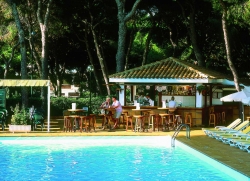 ���� ����� Riu Festival 4*