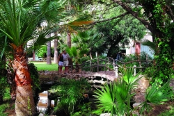 ���� ����� Sol Magalluf Park 3*