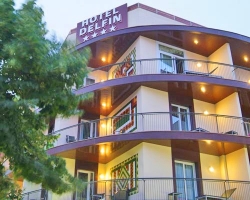 ���� ����� Delfin 4*