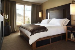   Viceroy Snowmass 5*