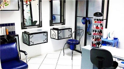 ���� ����� Tradewinds Hotel 5*