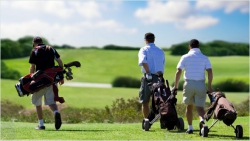 ���� ����� The Palmyra, A Solis Resort and Spa 5*