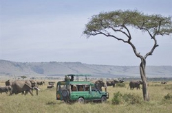 ���� ����� Mara Serena Safari Lodge 4*