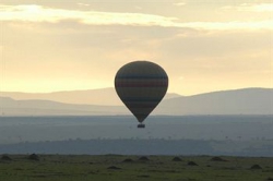 ���� ����� Mara Serena Safari Lodge 4*