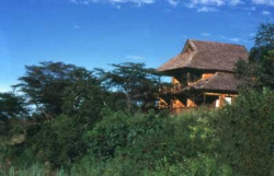 ���� ����� Mara Simba Lodge 4*
