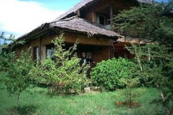 ���� ����� Mara Simba Lodge 4*