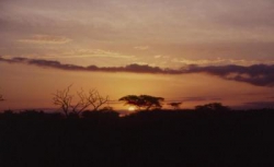 ���� ����� Mara Simba Lodge 4*