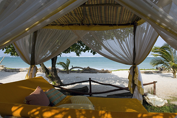 ���� ����� Afrochic Boutique 5*