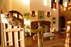 ���� ����� Giraffe Manor 5*