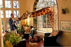 ���� ����� Giraffe Manor 5*