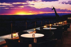 ���� ����� Ole Sereni 5*