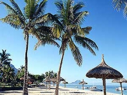 ���� ����� Sofitel Imperial 4*