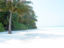 ���� ����� Biyadhoo Island Resort 3*