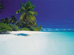 ���� ����� Shangri-La s Villingili Resort & Spa Maldives 5*
