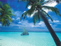 ���� ����� Shangri-La s Villingili Resort & Spa Maldives 5*