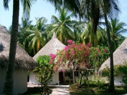 ���� ����� Kuramathi Village  3*