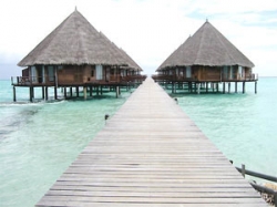 ���� ����� Velidhu Island Resort  4*