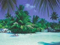 ���� ����� Sun Island Resort & SPA  5*