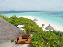 ���� ����� Vilu Reef Beach & Spa Resort  5*