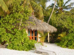 ���� ����� Chaaya Reef Ellaidhoo 4*