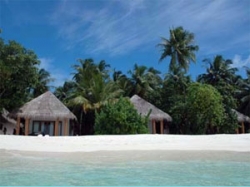 ���� ����� Palm Beach  5*