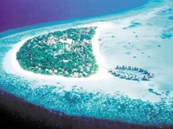���� ����� Coco Palm Dhuni Kolhu  5*