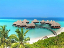 ���� ����� Coco Palm Dhuni Kolhu  5*