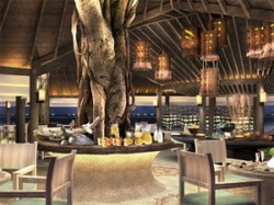 ���� ����� The Regent Maldives  5*