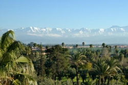 ���� ����� La Mamounia 5*