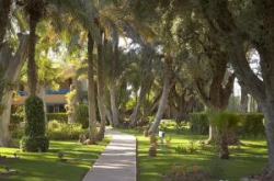 ���� ����� Golden Tulip Farah Marrakech 4*