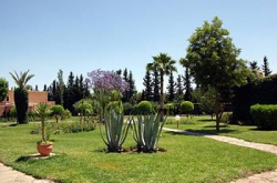 ���� ����� Royal Decameron Issil 4*