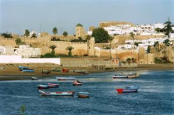���� ����� Sofitel Jardin des Roses 5*
