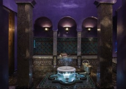 ���� ����� Sofitel Jardin des Roses 5*