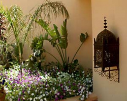 ���� ����� Riad Villa Mandarine 4*