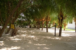 ���� ����� Cap Jean Marie Chalets 4*