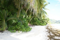 ���� ����� Dhevatara Beach 5*