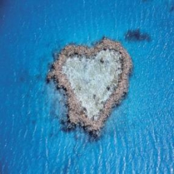 ���� ����� Beach Club 5*