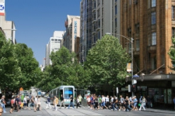 ���� ����� Novotel On Collins 4*