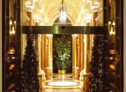 ���� ����� International Palace 4*