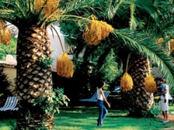 ���� ����� FORTE VILLAGE RESORT - LE DUNE 5*