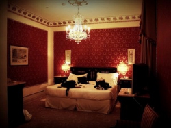 ���� ����� THE WESTIN EXCELSIOR 5*