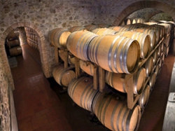 ���� ����� CASTELLO DI MONASTERO (CHIANTI) 5*