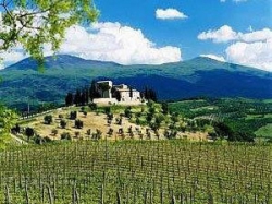 ���� ����� CASTELLO DI VELONA (MONTALCINO) 4*