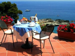 ���� ����� WEBER AMBASSADOR 4*