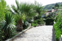 ���� ����� Villa Ridente Club 4*