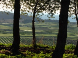 ���� ����� VERDURA GOLF AND SPA RESORT 5*