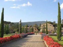 ���� ����� IL MELONE RESIDENCE 5*