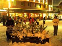 ���� ����� STAR HOTEL MAJESTIC 4*