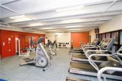 ���� ����� Crowne Plaza Hotel Auckland 4*