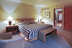 ���� ����� Rendezvous Hotel Auckland 4*